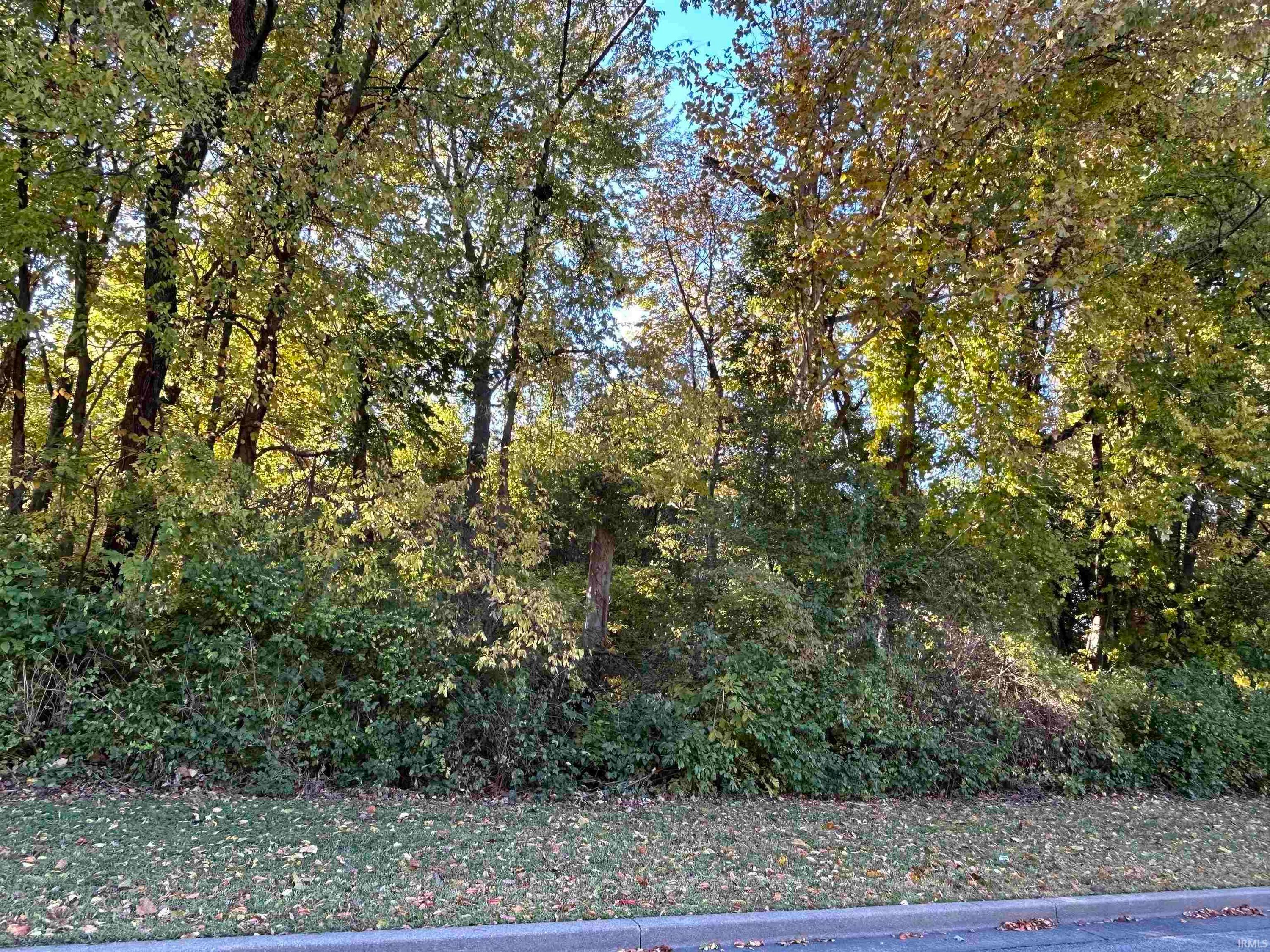 3480 & 3490 St Charles Street, Jasper — photo 1 of 1
