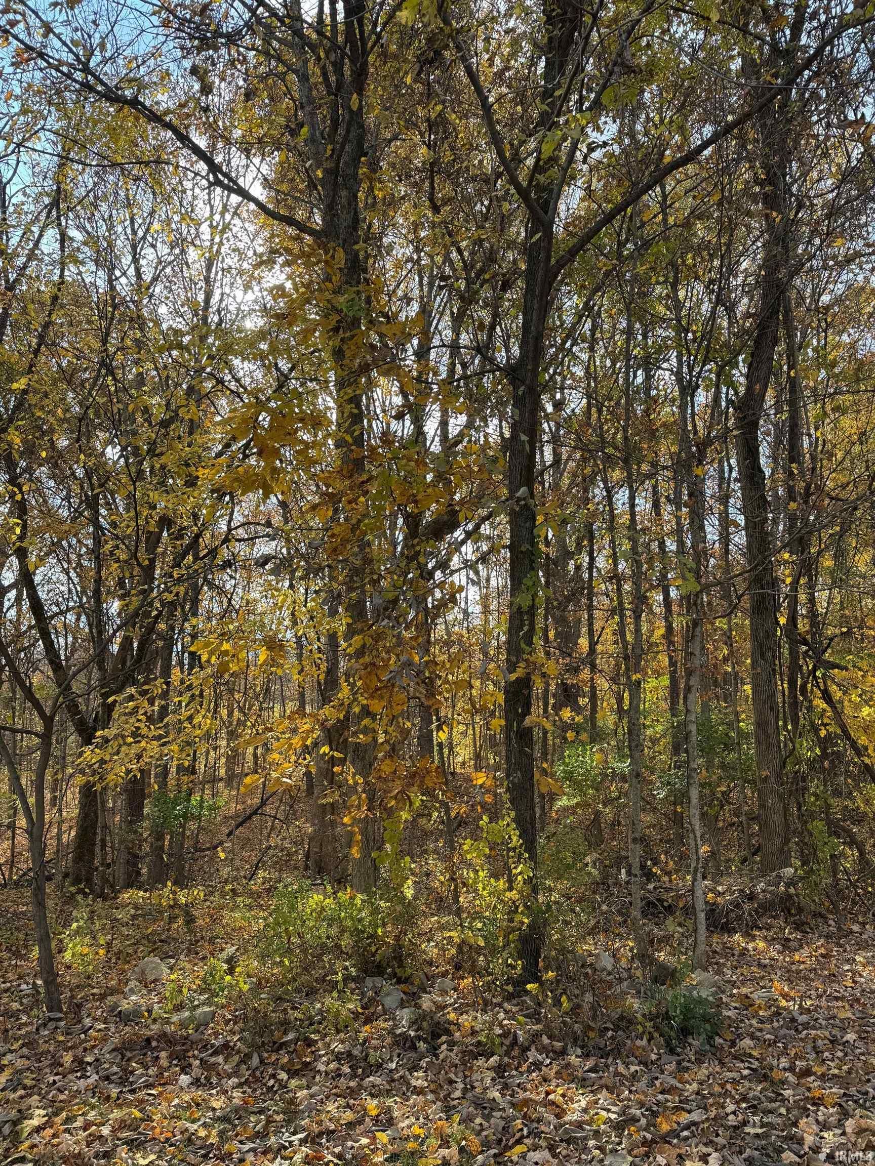 1240 S Barnes Drive, Bloomington — photo 1 of 1