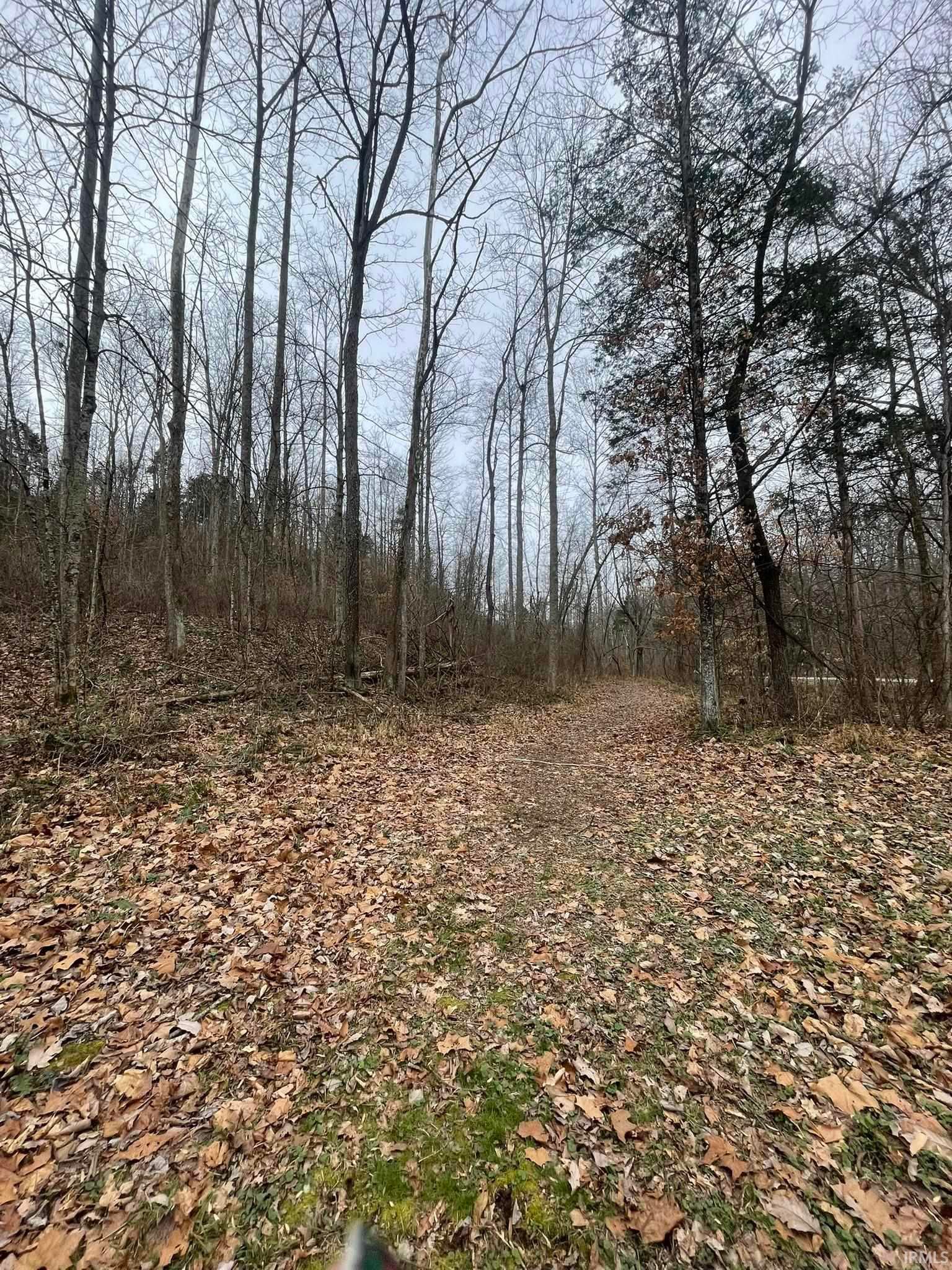 Hillham Rd S Road, French Lick — photo 1 of 1