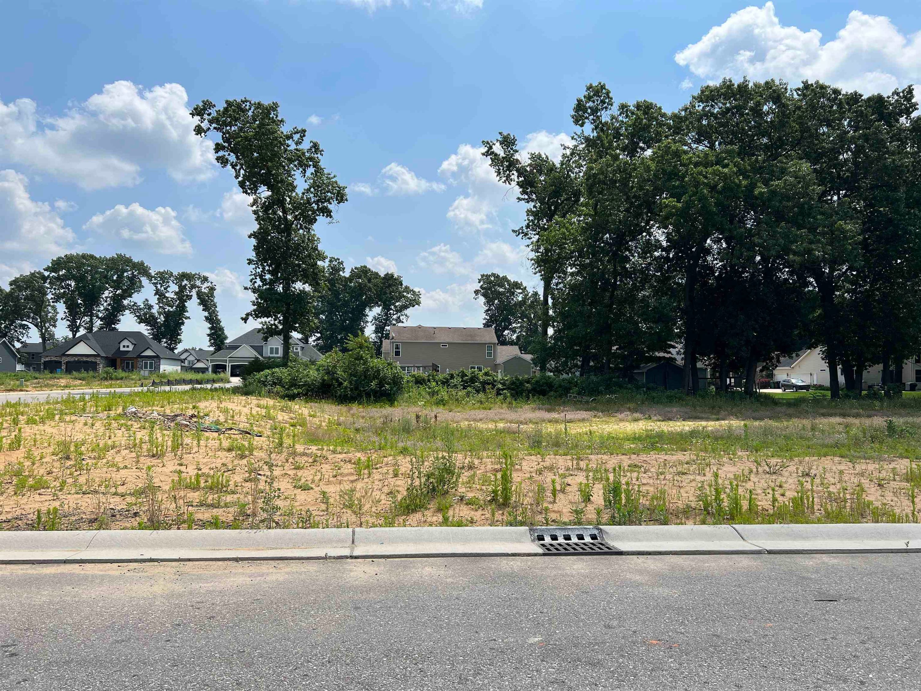 11508 New Trails Drive, Osceola — photo 1 of 1