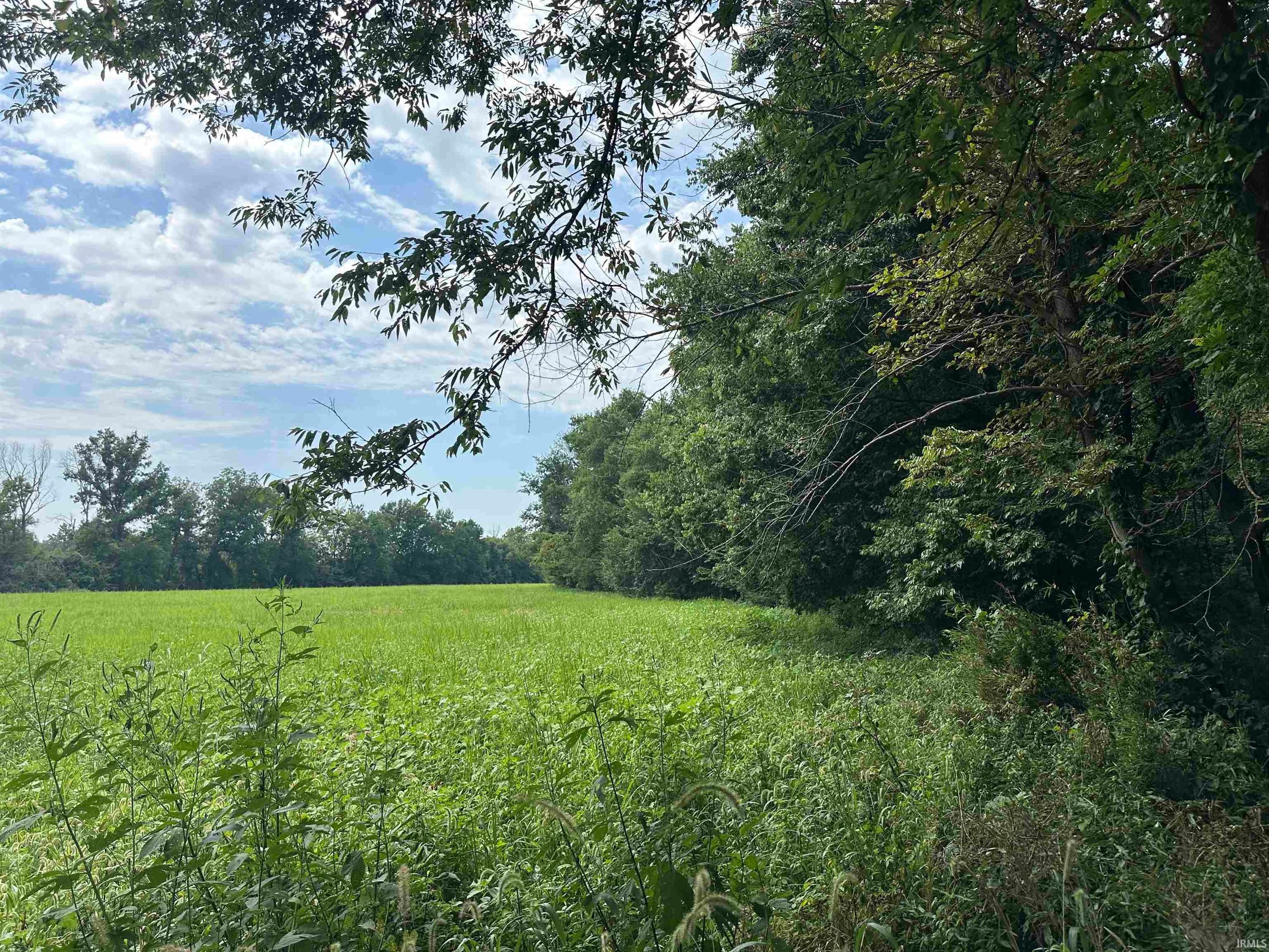 TBD State Road 161, Rockport — photo 1 of 1