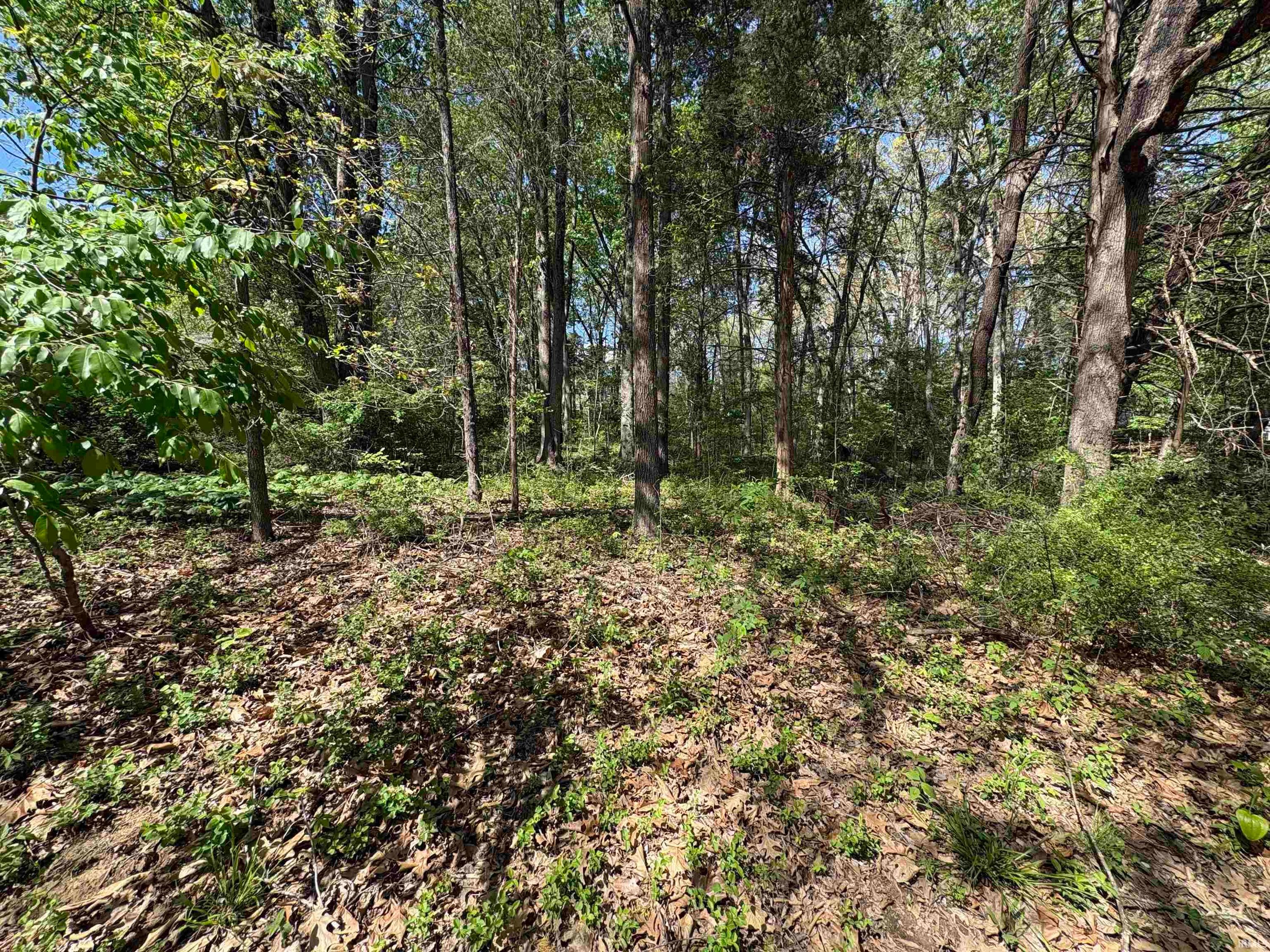 358 W Evergreen N Plaza, Santa Claus — photo 1 of 1