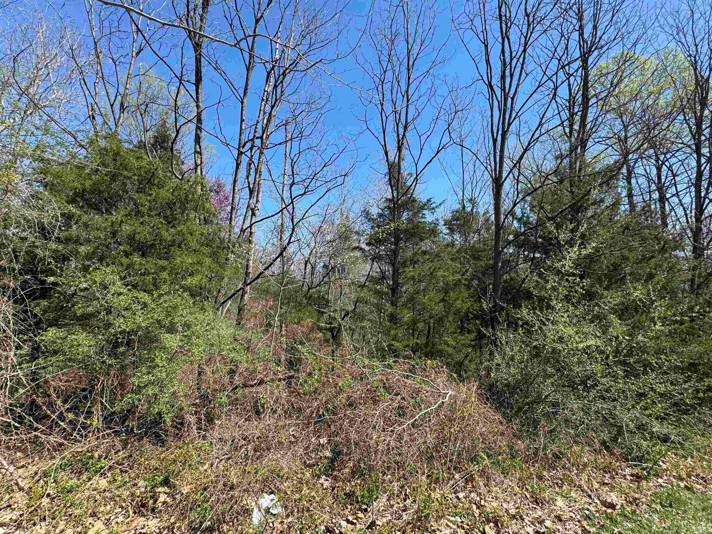 Lot B-21 Highway 46, Spencer — photo 1 of 1