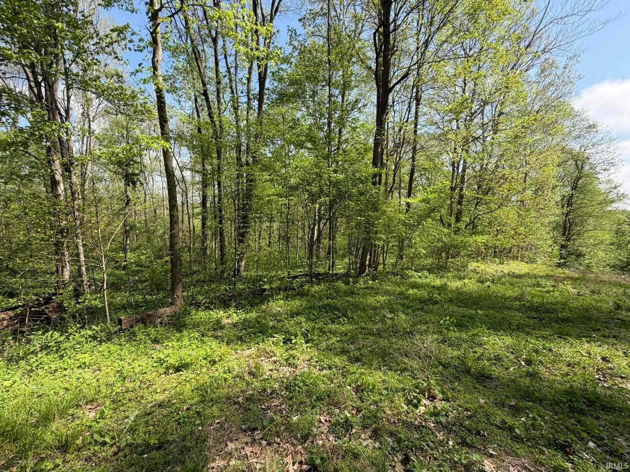 TBD Coon Path Road, Spencer — photo 1 of 1