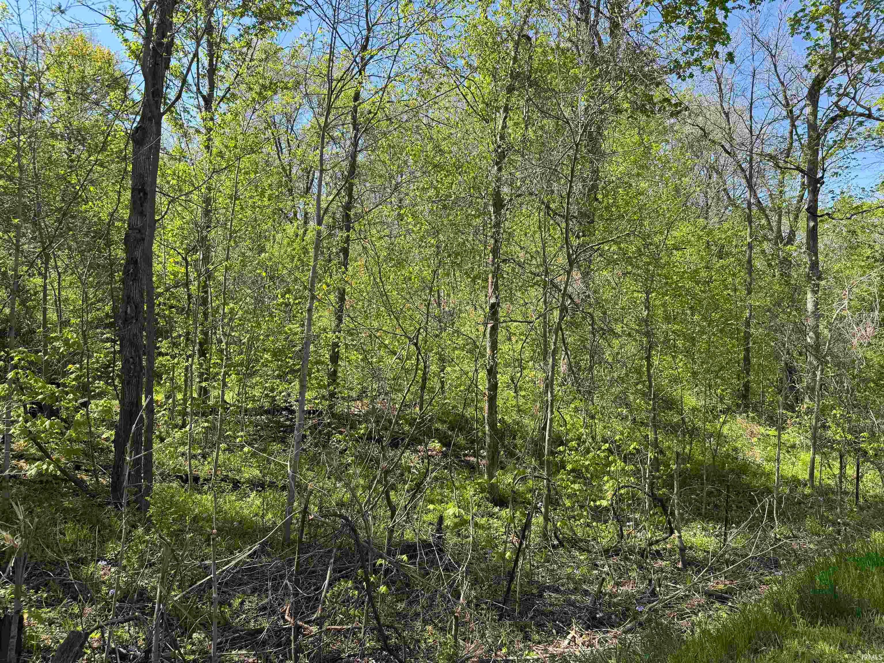 TBD W Cleveland Road, South Whitley — photo 1 of 1